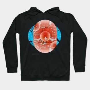 Psychedelic Abstract Bird and Water Art Hoodie